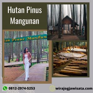 wirajogjawisata.com
