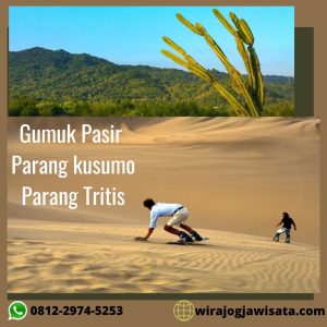 wirajogjawisata.com